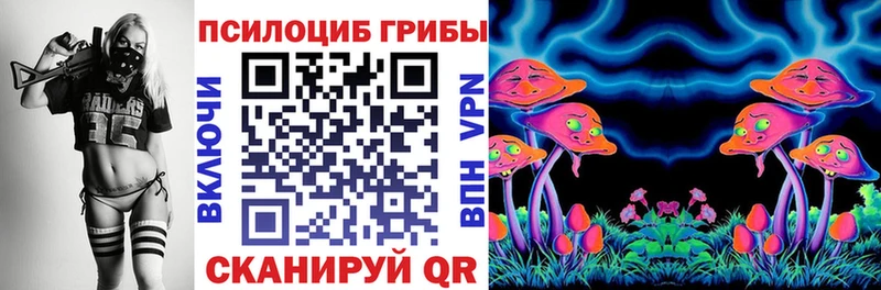 Псилоцибиновые грибы мухоморы  даркнет сайт  Теберда 